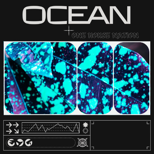ocean