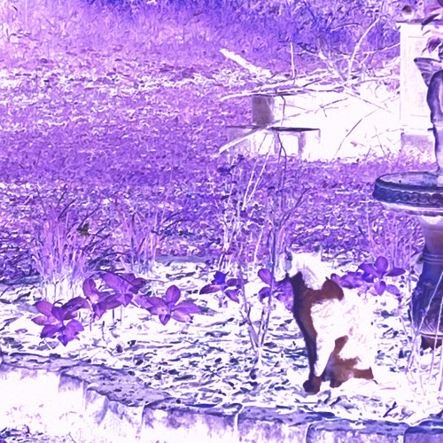 in that mode ⋆˚࿔ w/ hazee {prod.eightrex}