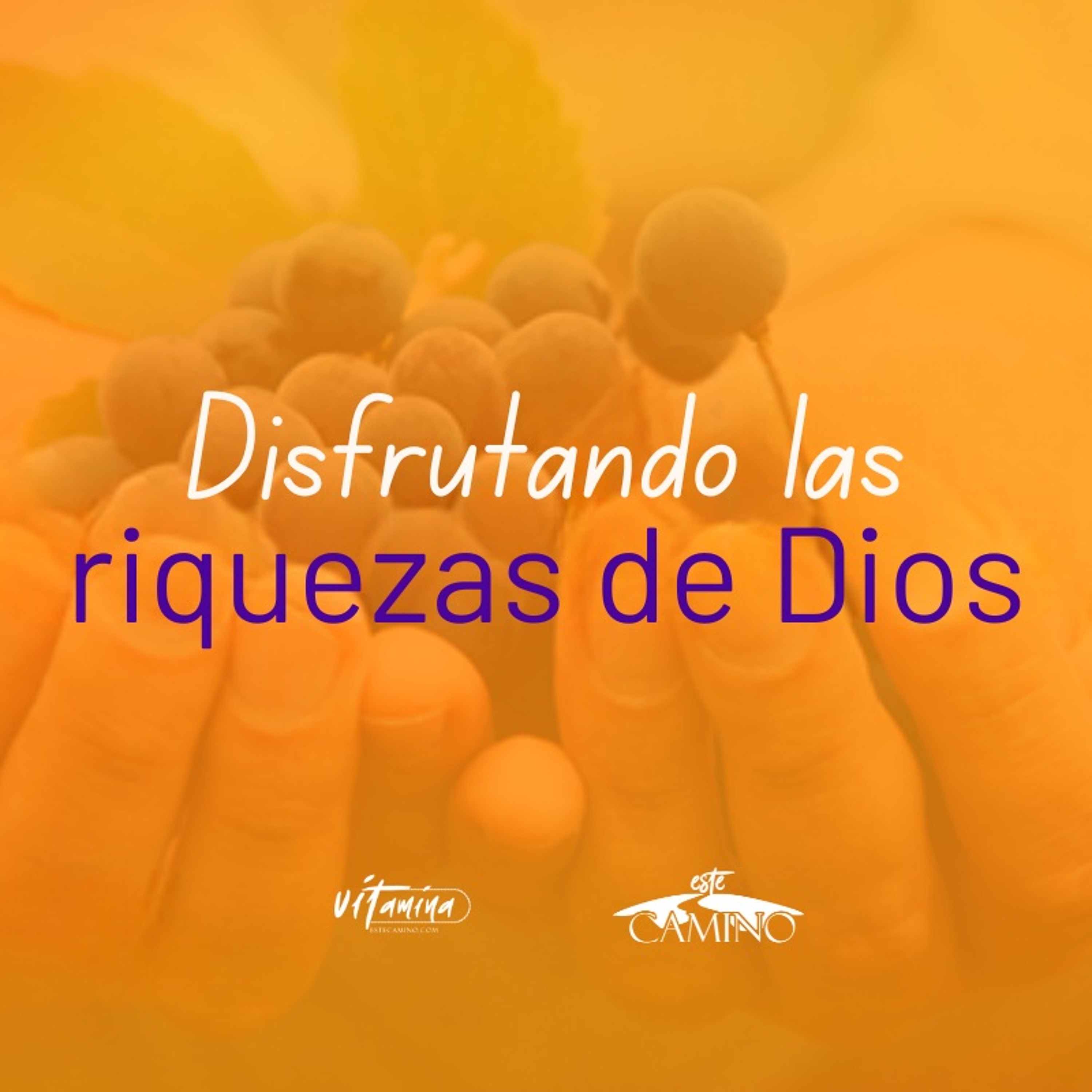 Disfrutando las riquezas de Dios, Carmen Gloria episode artwork