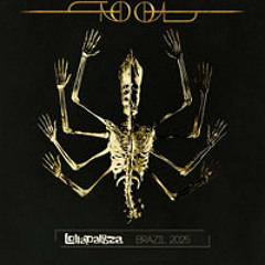 TOOL - Aenima - Live Lollapalooza Brazil 2025