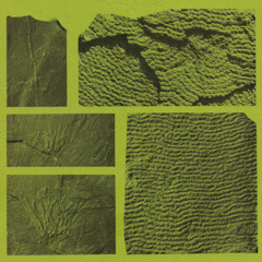 The New Honey Shade - geosyncline -  lockeia