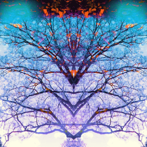 orbiting consciousness