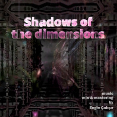 Shadows of the dimensions