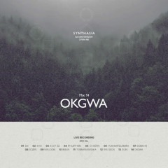 OKGWA @Synthasia Open Air 2025
