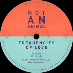 Frequencies Of Love ─ Tucan [NAAR021]