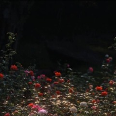 How does a moment last forever (Acoustic Cover)