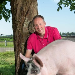 Een revolutionaire varkensboerderij