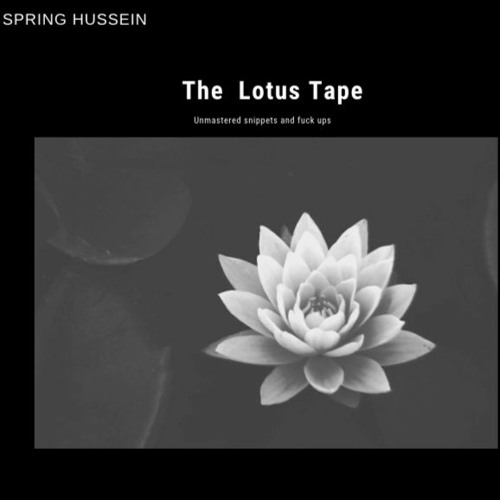 Spring Hussein- Bankroll