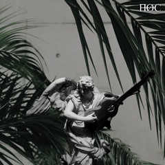XCVZXC's Wave collection