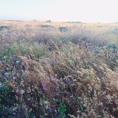 3 High Places: No. 2. The Wind at Maclaren Summit by John Luther Adams (Live at WUOL)