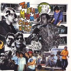 Bitchin' Camaro (Live)