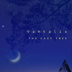 The Last Tree