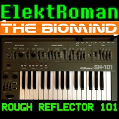 Rough Reflector 101 (Roland SH-101 In Techno/House/Acid Track)