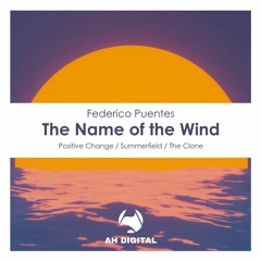 Federico Puentes - The Name Of The Wind (Original Mix)