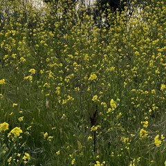 Raining on a dead end.wav