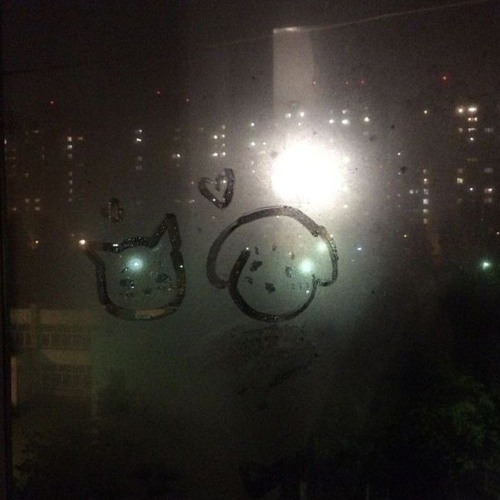 우르릉 쾅쾅쾅