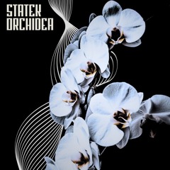 Orchidea - [Forthcoming on vinyl]