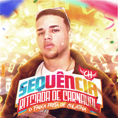 SEQUENCIA RITMADA DE CARNAVAL 2023 (@djch_ofc)