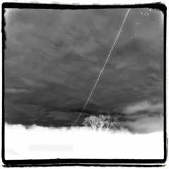 Phenomenology
