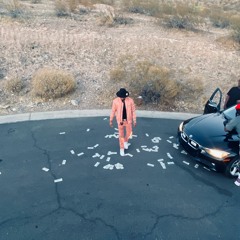 PudaLoc - Stayed Down..