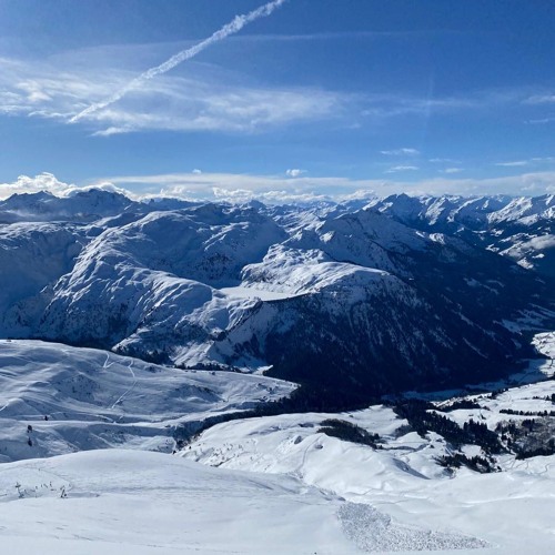 "The Mollejas" in a Rollercoster Marzo 2025