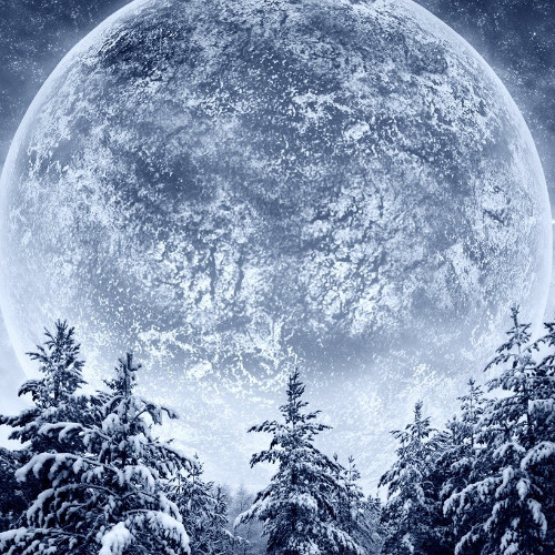 Digital mind vol.6