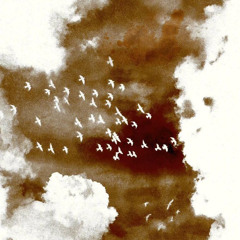 let's meet where the angel's are watching🕊️