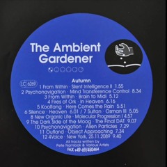 Pete Namlook - Ambient Gardener _ Autumn [full album].mp3
