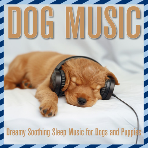 Dog Relaxing Music Songs To Make Your Dog Fall Asleep Sleep Best