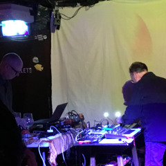 Wasps live at the Spirit of Gravity April 2025