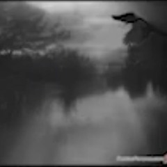 blood seal (WISTERIA SNEAK PEAK!!! 2009)