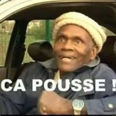 Ça pousse !!!