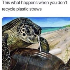 Ø0o-Ŵeeë