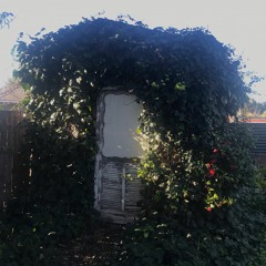 Walkin' Down The Street