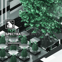 Spectra | Viridian - Dub Techno Mix