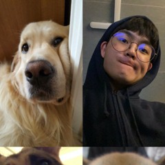 DM! (구버전 ㅎㅎ)