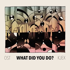 What Did You Do? EP - Sampler