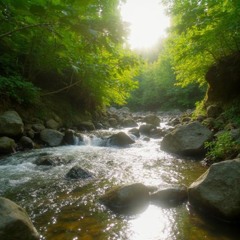 Matthew Plante - SANCTIFIED