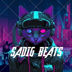 SADIG BEATS FT ALMA XANIM SEN OLMASAN