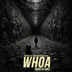 Whoa (Mind In Awe) (Techno)