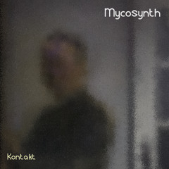 Kontakt
