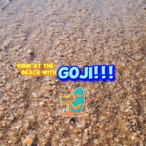 VIBIN AT THE BEACH with GOJI