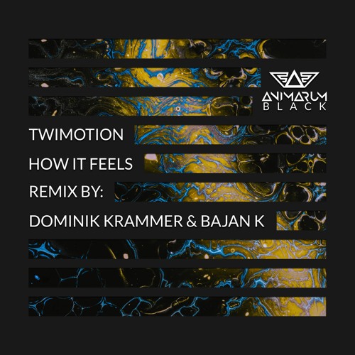 Twimotion - How It Feels