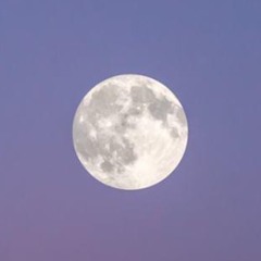 I Hoped, And She Granted