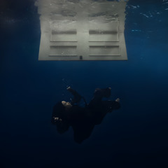 Billie Eilish - WILDFLOWER (Freelanz Remix)