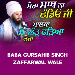 Mera Saath Na Chhadiyo Ji Maalka Mai Larh Farhiya Tera