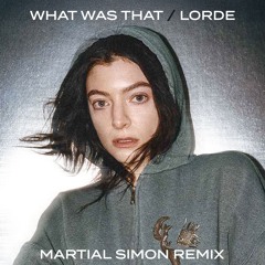 Lorde - What Was That (Martial Simon Remix)