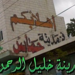 أنشودة الصقر الملثم