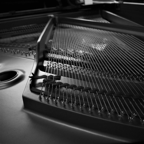 (unfinished) Piano Concerto in D minor 1. by Maxim Domnikov