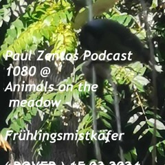 Podcast 1080 @ Animals On The Meadow - Frühlingsmistkäfer ( DOVER ) 15 03 2024